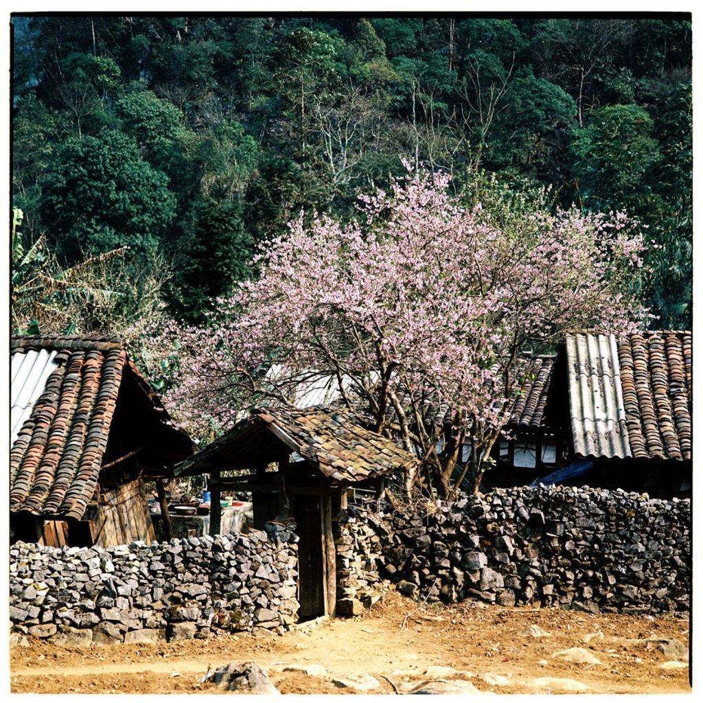 Huyen Tram Guesthouse Dong Van  Εξωτερικό φωτογραφία